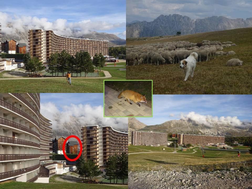 8-10 Personnes Superdevoluy Hautes Alpes Rez De Chaussee Vue Panoramique 3 Apartment