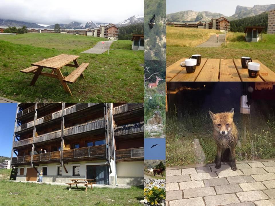 8-10 Personnes Superdevoluy Hautes Alpes Rez De Chaussee Vue Panoramique 3 * Le Devoluy